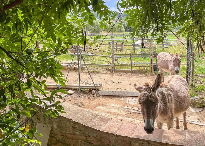Casa Val Di Rigo * マジョーネ